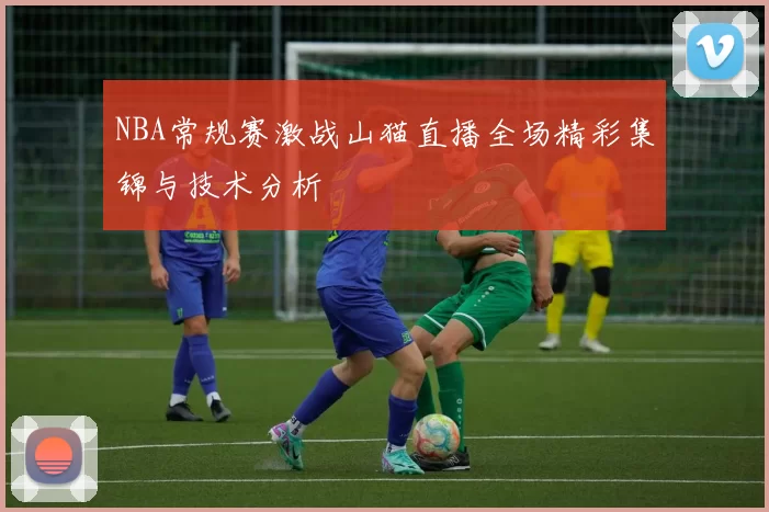 NBA常规赛激战山猫直播全场精彩集锦与技术分析