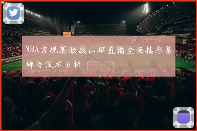 NBA常规赛激战山猫直播全场精彩集锦与技术分析