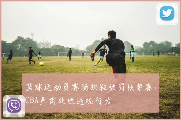 篮球运动员赛场扔鞋被罚款禁赛，CBA严肃处理违规行为