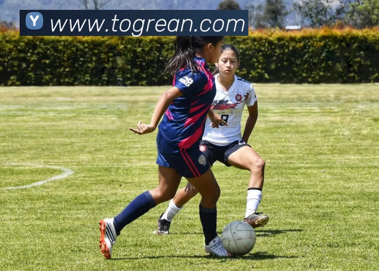 星空手机在线登陆入口品牌故事